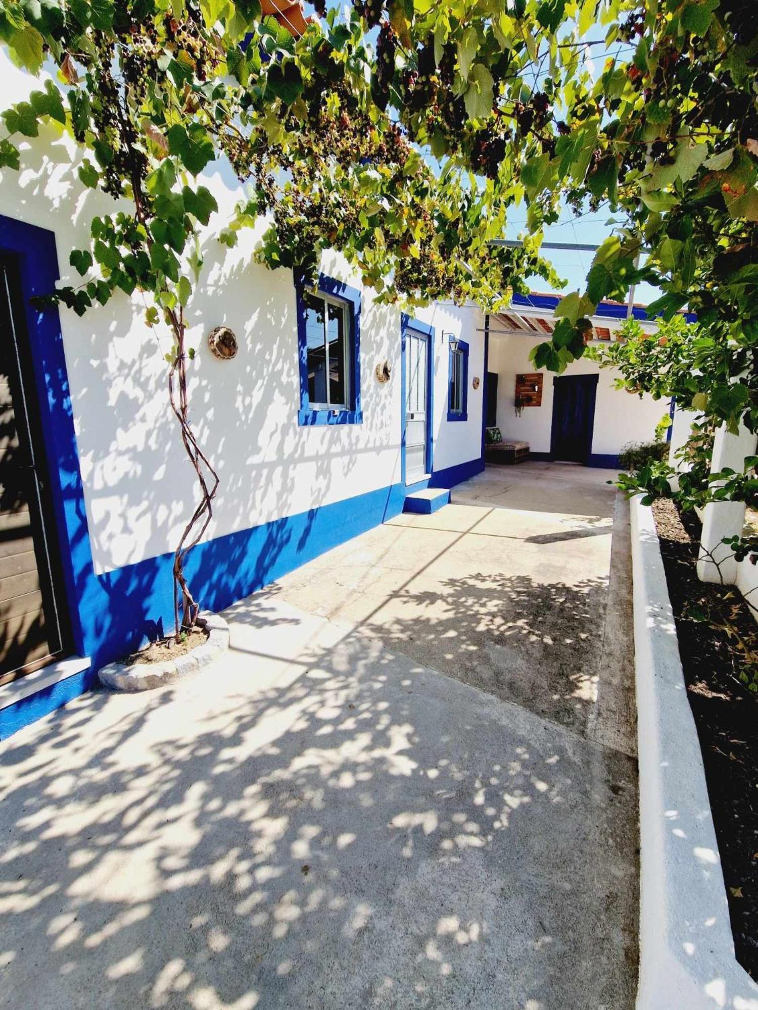 Вилла Casa Dos Martelitos Salgueira  Экстерьер фото