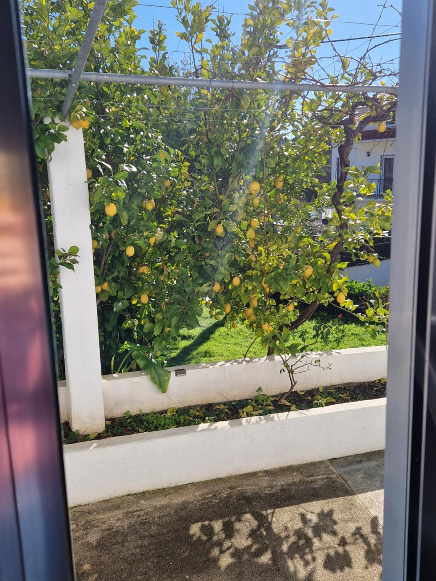 Вилла Casa Dos Martelitos Salgueira  Экстерьер фото